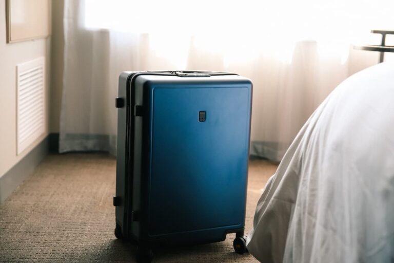 Does Hard Shell Luggage Prevent Bed Bugs?