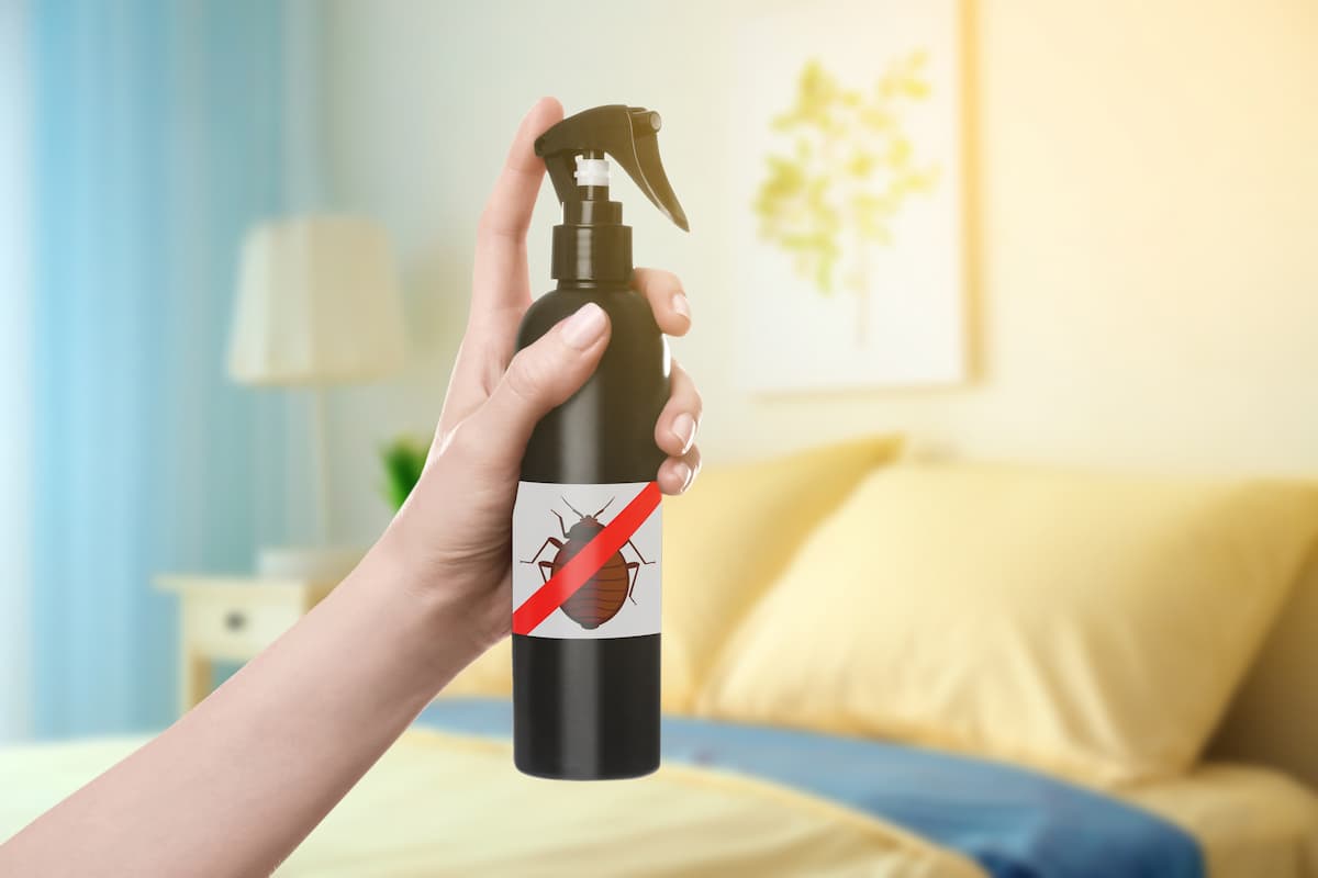 A woman's hand is holding a bed bug spray with a blurred bedroom in the background.