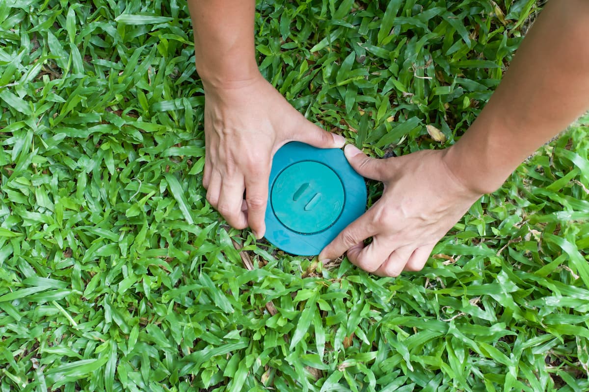 A termite treatment is being applied to the grassy ground.