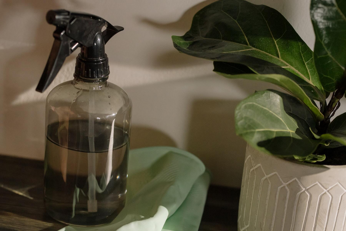 a home liquid spray treatment is seen beside the white gloves and a plant