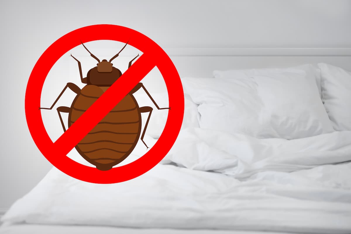 A stop bed bug sign with a white bed on the background. 