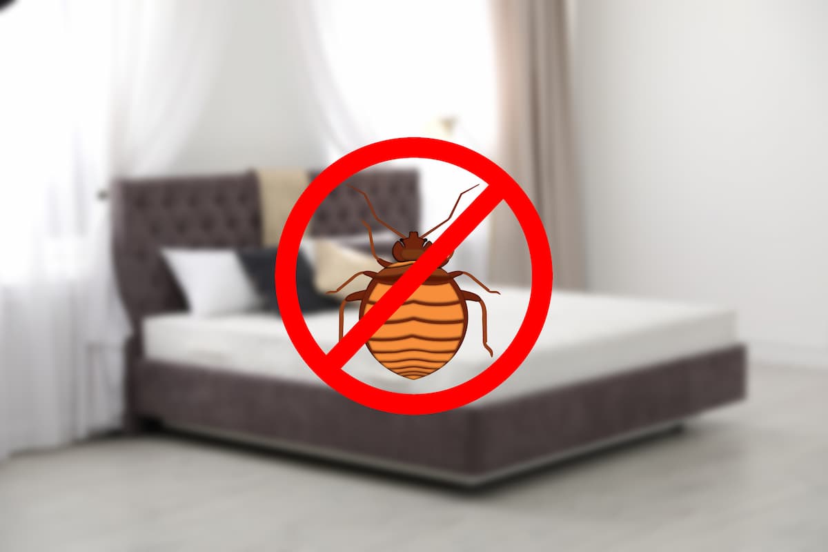 A no bed bug sign with a blurred background of a bedroom. 