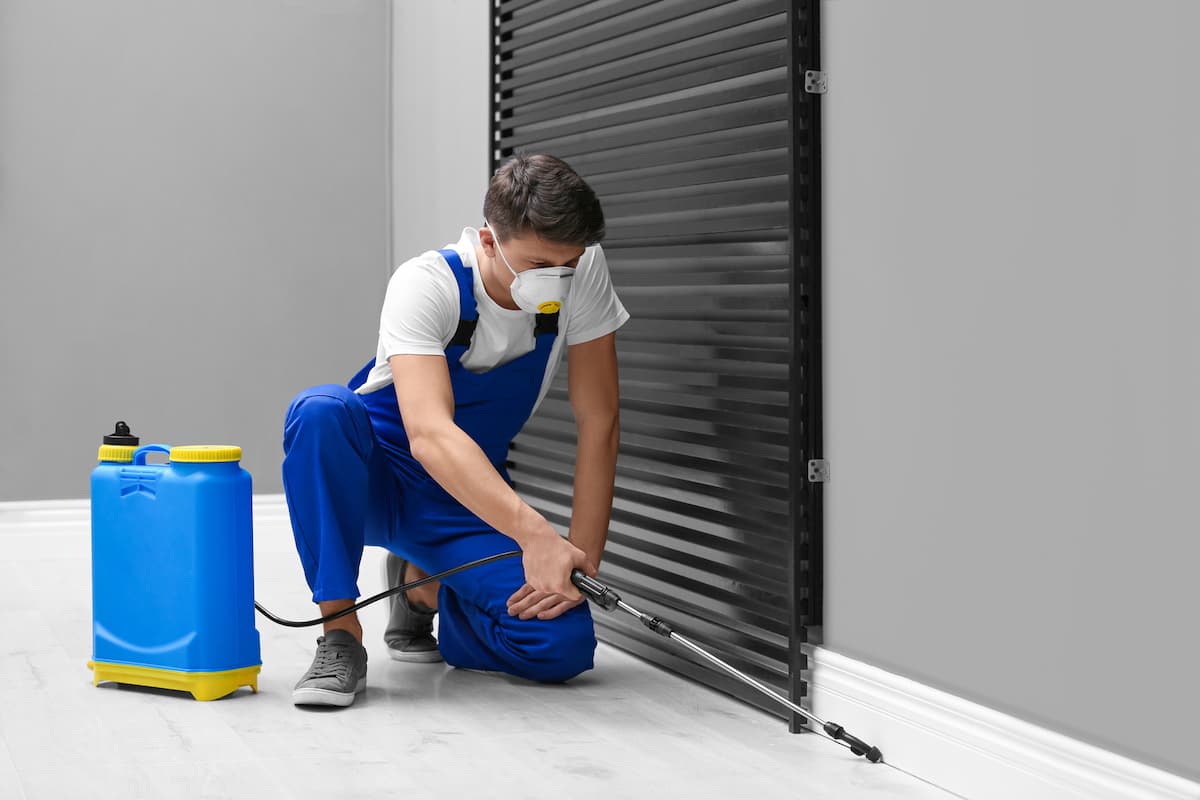 A pest control worker spraying pesticide near the door of a room. 