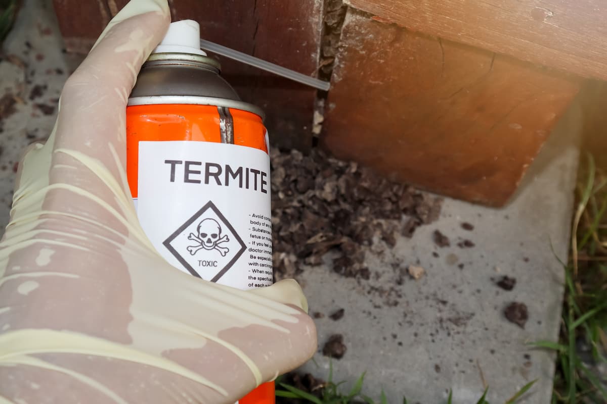 A person wearing a surgical glove and applying termite spray.