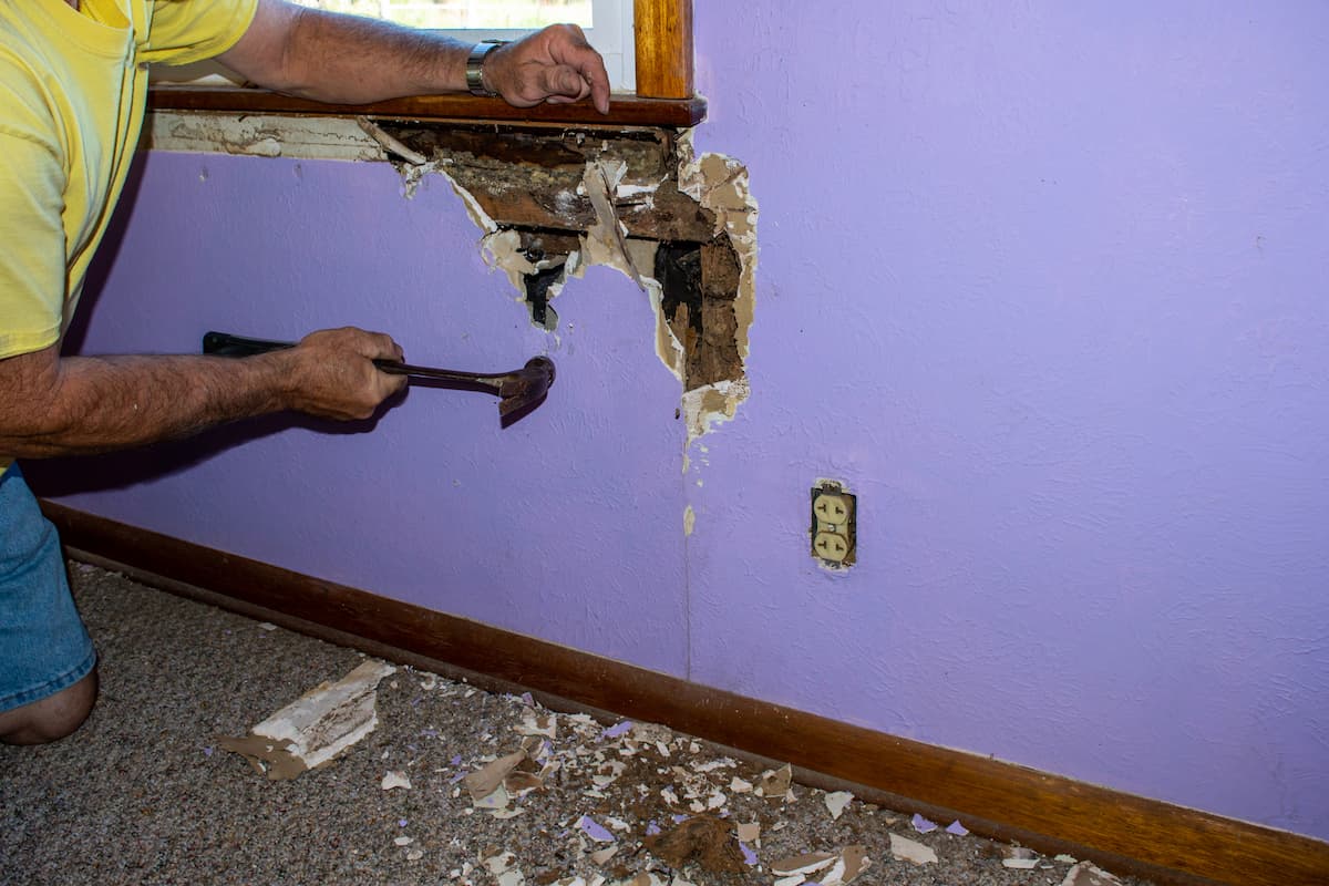 A man repairing the wall damaged by termites. 